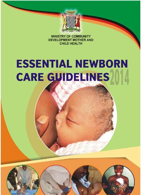 Essential Newborn Care Guidelines Pdf Preterm Birth Infant Mortality