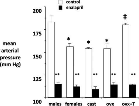 Is My Study Sex Or Is It Gender Hypertension