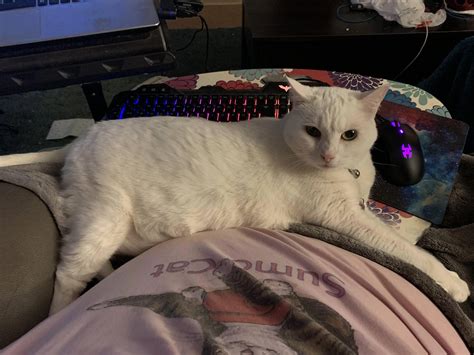 Girl S Huge Pussy Takes Up Majority Of Her Lap Scrolller
