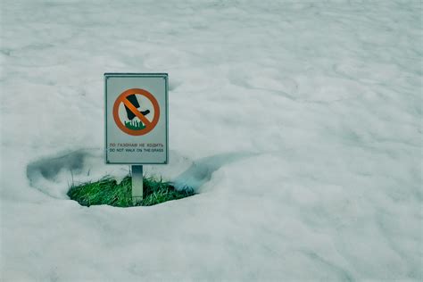 Red Stop Sign on a Snow Covered Forest Road · Free Stock Photo