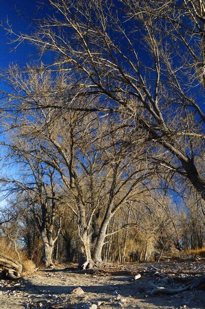 Premium Photo | Glendo reservoir in wyoming