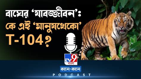 Tv9 Bangla Podcast ‘মানুষখেকোর বিরুদ্ধে অভিযোগ গত দুবছরে ২১ জন তার ‘শিকার Youtube