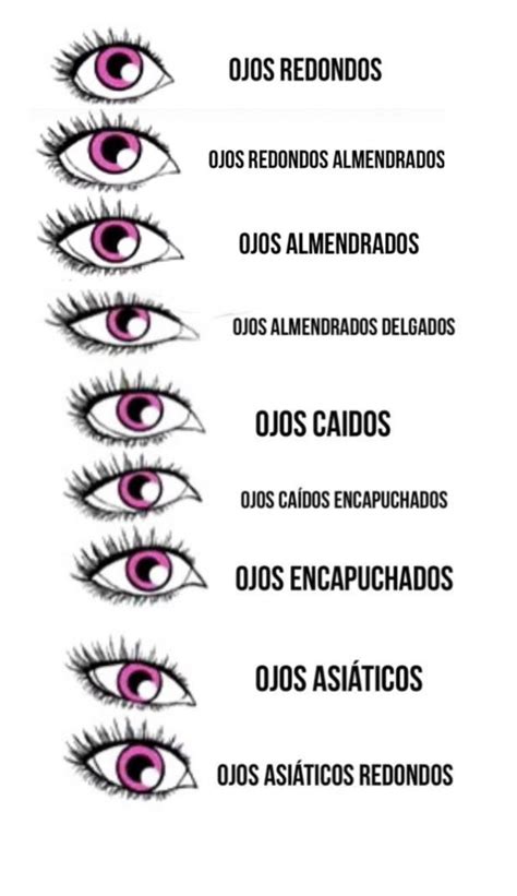 Tipos De Ojos Pestañas Tipos De Ojos Pestañas Postizas Naturales