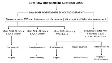 low flow low gradient aortic stenosis dobutamine - Lesha Covey