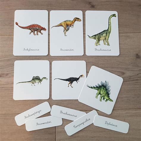 Mon Coffret Montessori Dinosaures