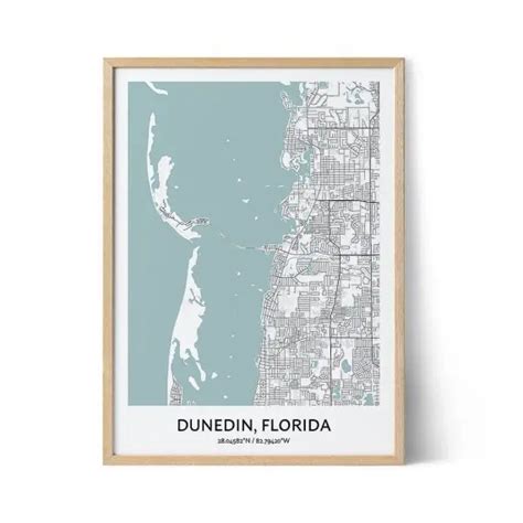 Dunedin Map Poster - Your City Map Art - Positive Prints