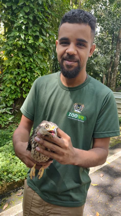 Guarda Ambiental resgata Gavião ferido no bairro Boa Vista II Barra Mansa