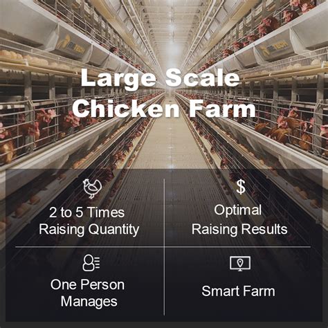 China Hot Selling Chicken Laying Cage RETECH Automatic H Type Poultry