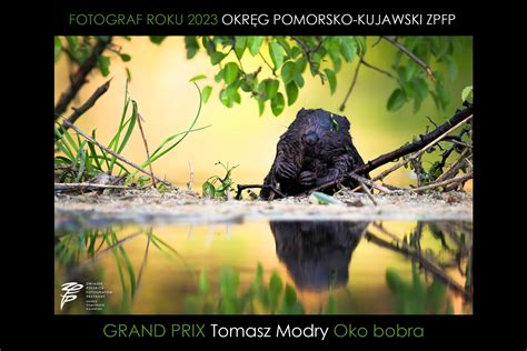 Rozstrzygni Cie Konkursu Na Fotografa Roku Okr Gu Pomorsko