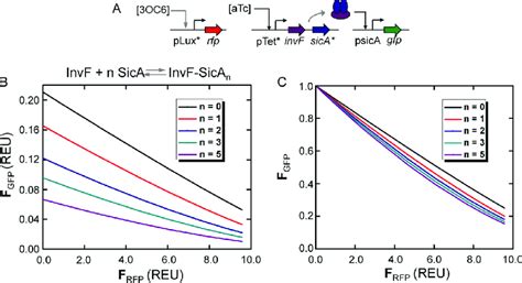 The Nonlinear Coupling Can Arise From The Binding Requirement Of Two