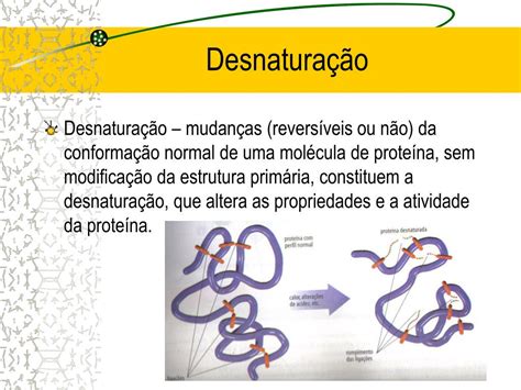 Proteina Desnaturada - PPT - Proteínas PowerPoint Presentation, free download - ID:4914591