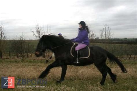 Bits And Bobs ZB Porn