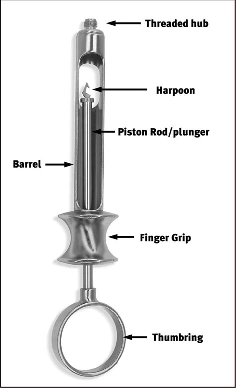 Anesthetic Cartridge Dental Diagram Quizlet