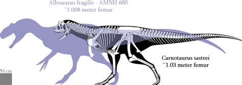 Allosaurus fragilis v Carnotaurus sastrei | Dinosaur Archives