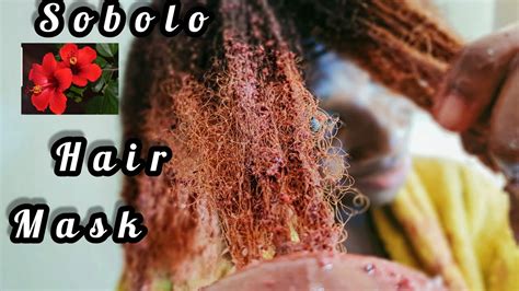 Sobolohibiscus Hair Mask For Extreme Hair Growth Youtube