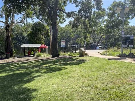 Lake Parramatta Reserve: Great Spot to Swim, Picnic + Play