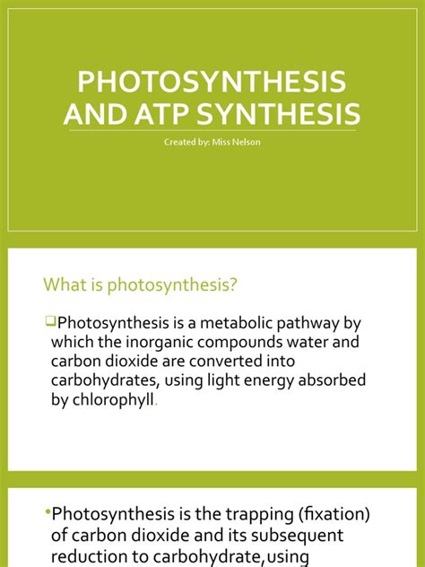 Photosynthesis and ATP Synthesis Part 1 | PDF | Photosynthesis ...