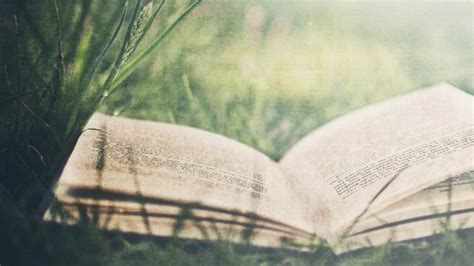 Open Book Transparent Background Png - 2186x1031 - Download HD ...