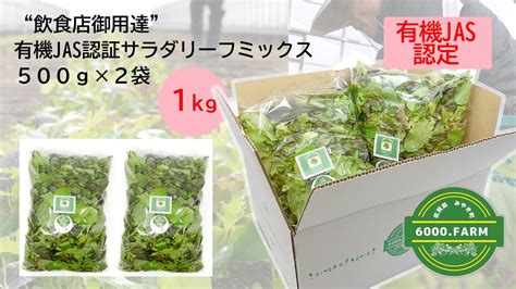 Fv004【飲食店御用達】有機jas認証サラダリーフmix500g×2袋 合計1kg）産地直送 新鮮野菜 冷蔵発送｜みやき町｜佐賀県｜返礼