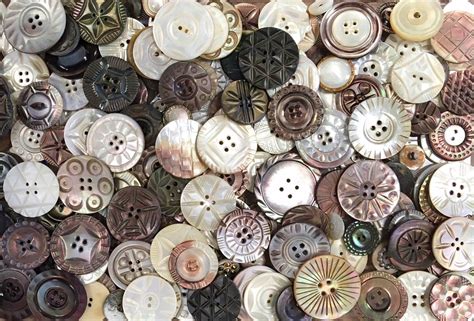 Old Carved Mother Of Pearl Button Collection Vintage Collection