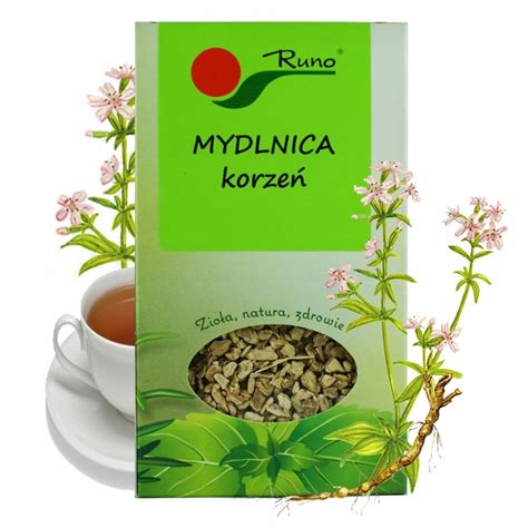 Mydlnica Lekarska Korzeń Cięty 50g Runo 9709139097 Allegropl