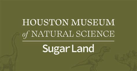 Summer Camp Hmns At Sugar Land