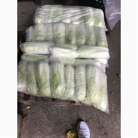 Продам пекинскую капусту, купить пекинскую капусту, Херсонская обл ...