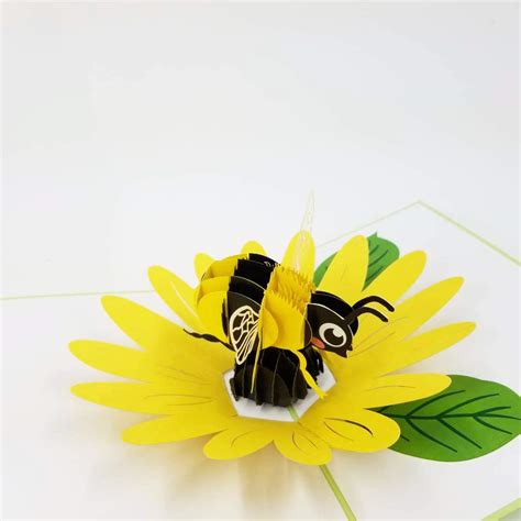 Buy Bee D Pop Up Greeting Card Happy Birthday Card Just Because