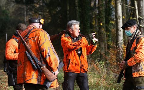 Faune Contraints De Chasser Daims Et Cervidés Les Chasseurs Haut