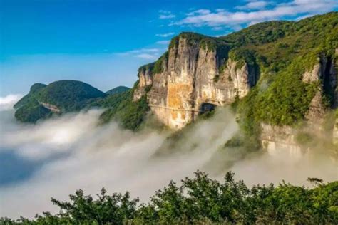 重庆金佛山一日游详细攻略旅泊网