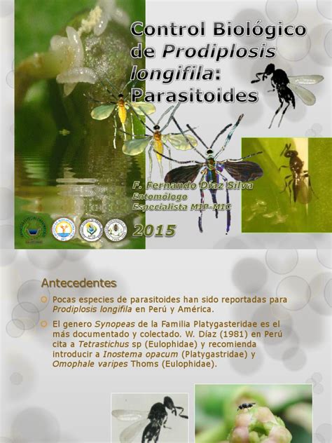 Parasitoides Pdf Biología Ecología