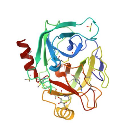 RCSB PDB 3RXJ Crystal Structure Of Trypsin Complexed With 4