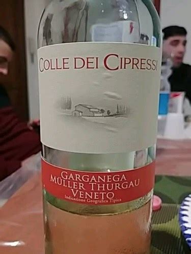 Colle dei Cipressi Müller Thurgau Garganega Vivino US