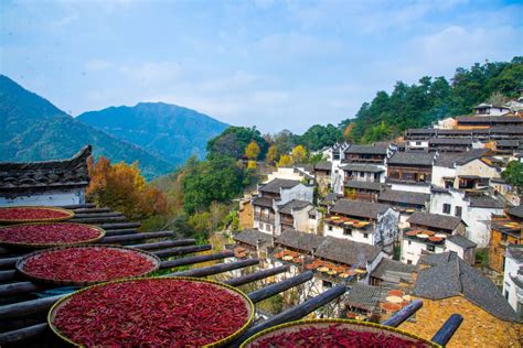 12月赏枫好去处 婺源篁岭邂逅最美“枫”景