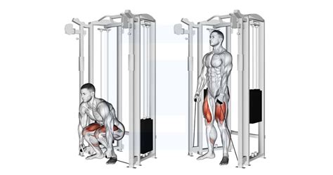 Band Stiff Leg Deadlift Guide Benefits And Form