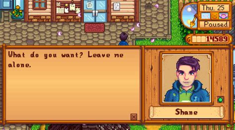 Stardew Valley Walkthrough Guide Affection Relationships And Marriage