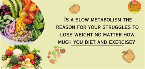 Slow Metabolism