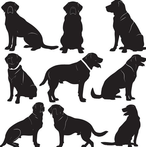 Labrador Retriever silhouette 45597385 Vector Art at Vecteezy