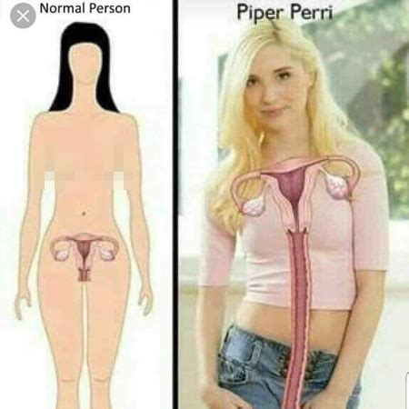 Best Sex Memes Of Only Funny Dirty Sexual Memes Porn Dude Blog