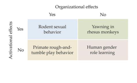 Chapter Sex Differences In Human Behaviour Flashcards Quizlet