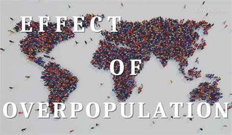 Overpopulation Causes Effects And Solutions By