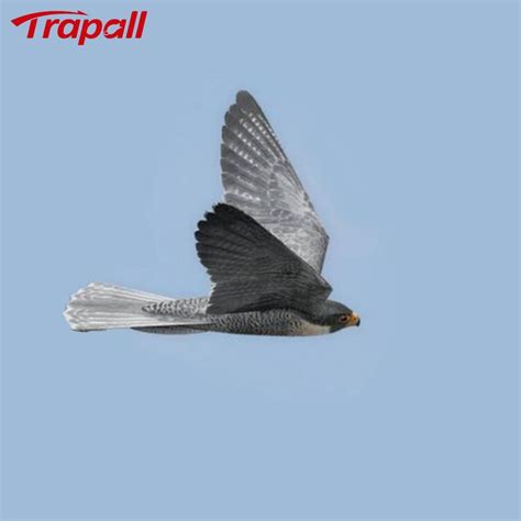 Outdoor Electronic Flying Peregrine Falcon Bird Deterrent Scarecrow