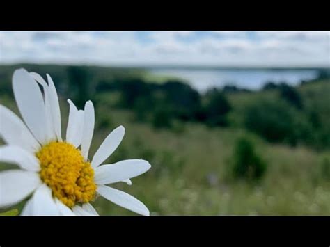 Літаратурная хвілінка верш Беларускія краявіды (стих Белорусские ...