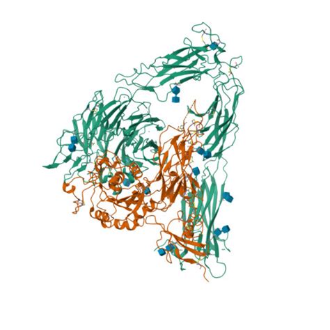 RCSB PDB 1M1X CRYSTAL STRUCTURE OF THE EXTRACELLULAR SEGMENT OF