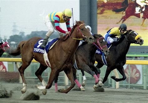 “元祖二刀流”アグネスデジタル死去競馬ファンから「彼こそ真の“リアル二刀流”」の声 スポニチ競馬web