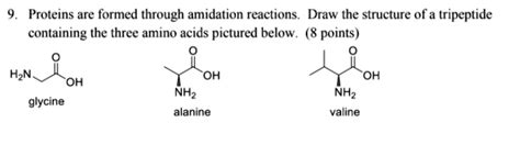 Tripeptide Bond