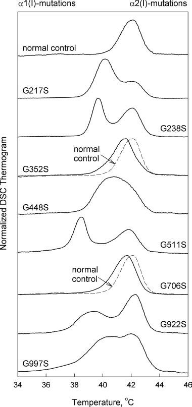 Normalized Dsc Thermograms Of Selected Collagens With Gly 3 Ser