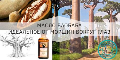 Масло баобаба - номер один от морщин вокруг глаз