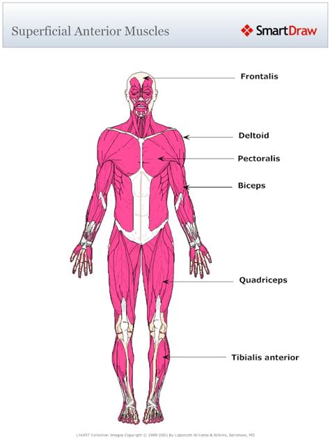 Science Mr Singh S Blog