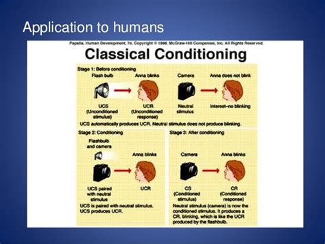 Presentation On Classical Conditioning